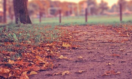 The Hidden Mental Load of Family Schedule Management (And How to Finally Put It Down)