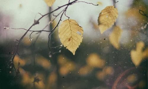 Life Admin Is Drowning You (And It's Not the Same as Chores): A Parent's System for Taking It Back