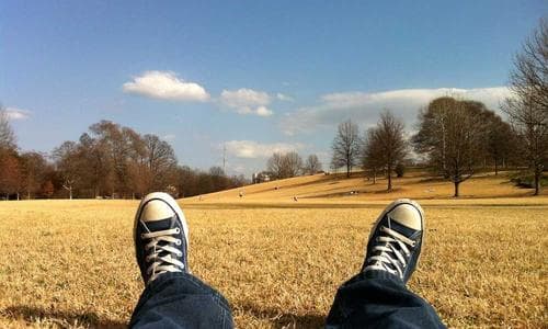 Nestify vs Cozi: Which Family Organizer App Is Worth Using in 2026?